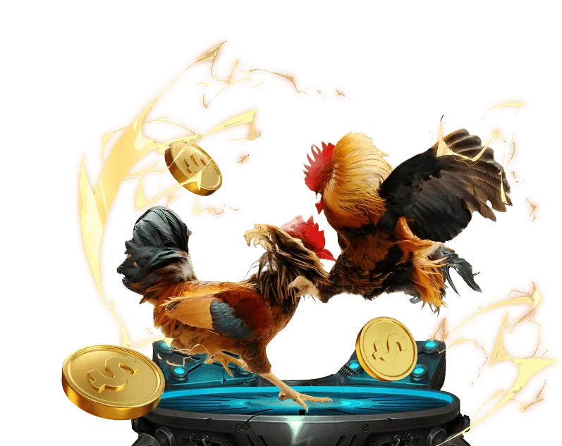 Hình ảnh minh họa khu vực Câu Hỏi Thường Gặp